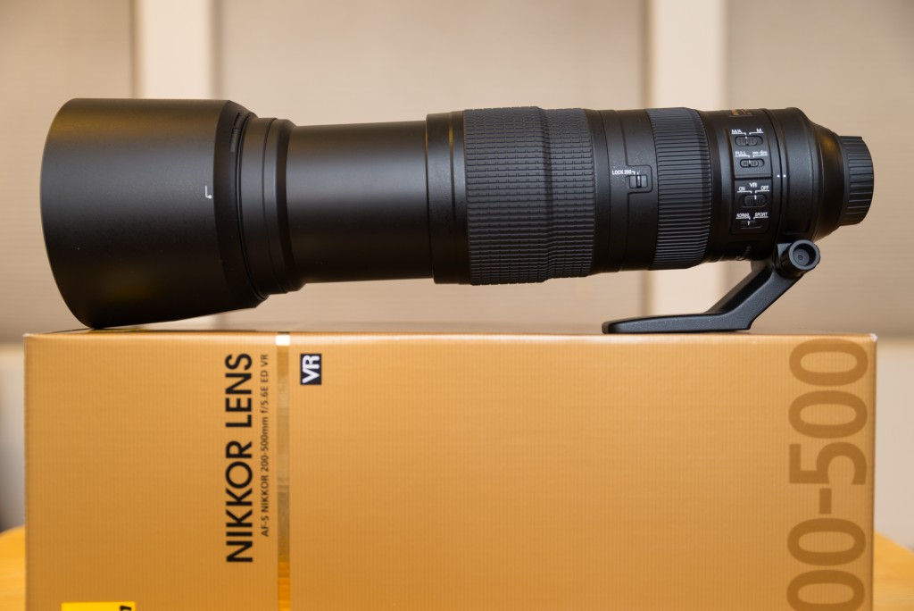 Nikon 200-500mm f/5.6E – Short Term Review | Bill Ferris